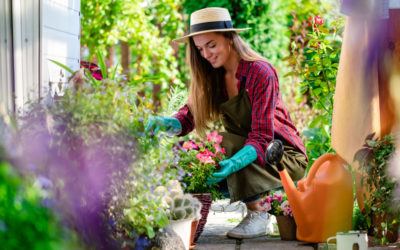 How to Choose the Right Plants for Your Garden – Bush Boys